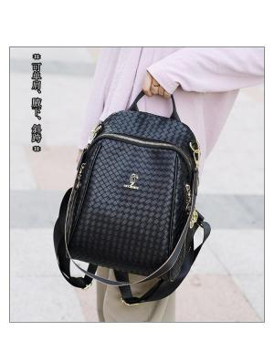 ZCJ2096 AS PICT-big-2